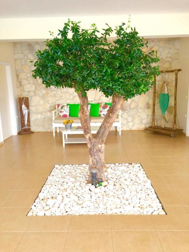 Ammos Boutique Apartments & Suites Malia  Exterior photo